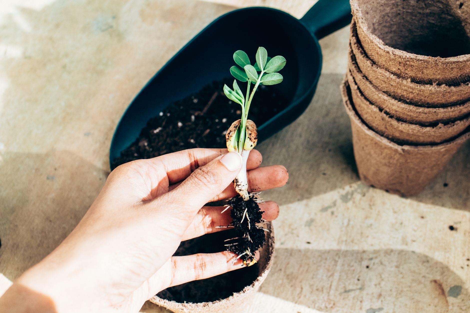 Chuỗi nuôi dưỡng lead chưa mua để tăng tỷ lệ chốt đơn